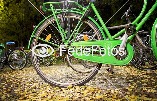 Grøn cykel