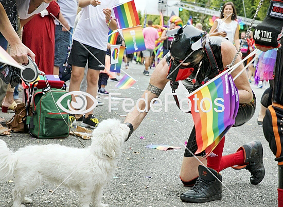 Pride - hund møder hund