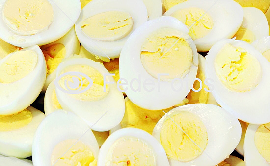 Æg