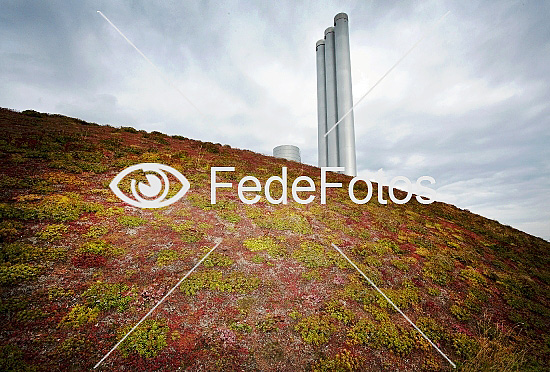 Grønt tag