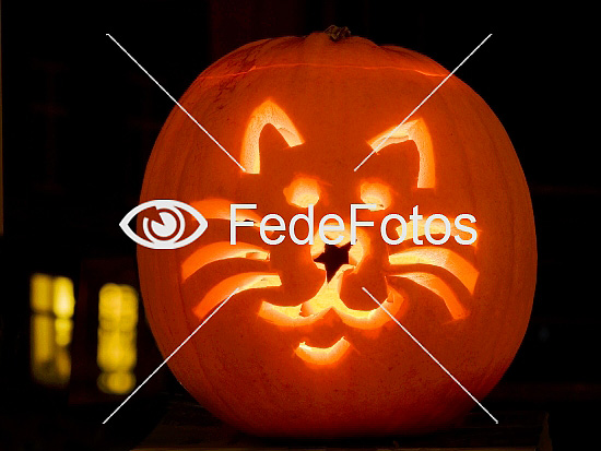 Seaboard grafisk fugl Halloween - FedeFotos: Køb fotos