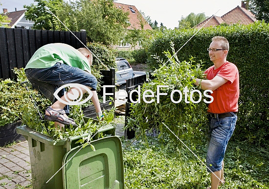 Klipper hæk