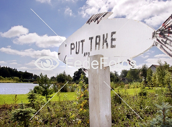 Put and take