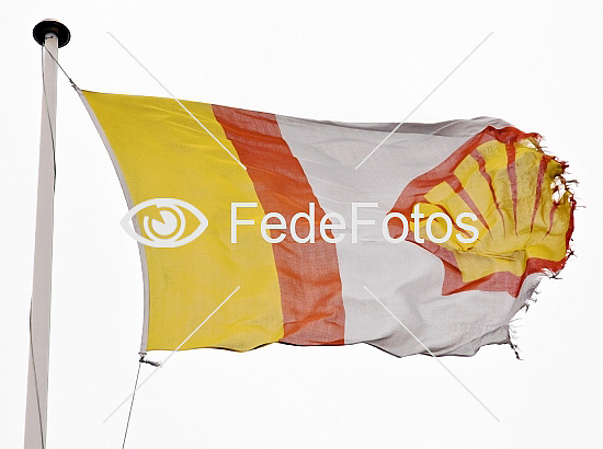 Shellflag