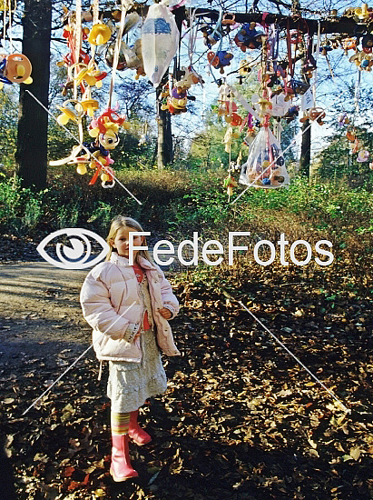 misundelse gryde Shining Suttetræ - FedeFotos: Køb fotos