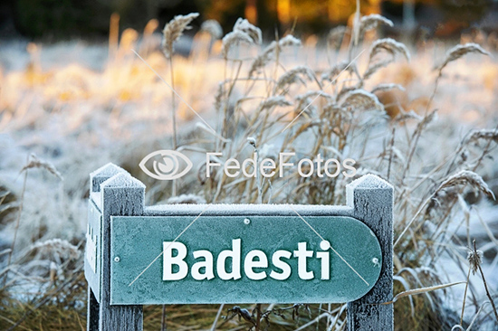 Badesti, vinter