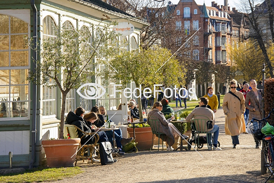 Cafeliv, Kongens Have