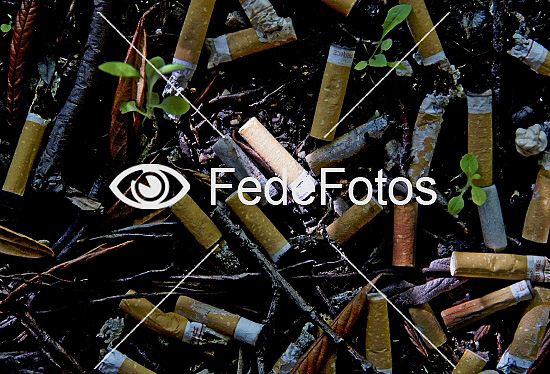 Cigaretskod