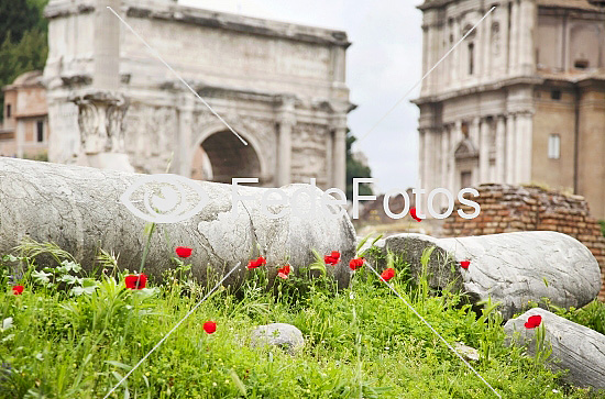 Forum Romanum