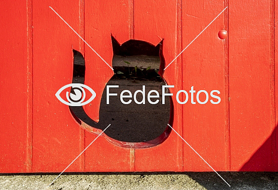 FedeFotos: Køb fotos, billige danske billeder - mange stort udvalg