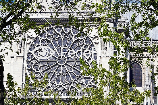 Notre-Dame, Paris